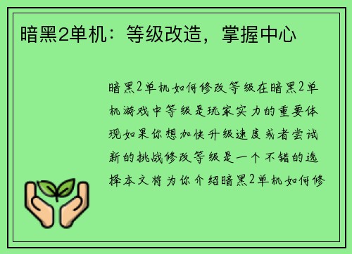 暗黑2单机：等级改造，掌握中心